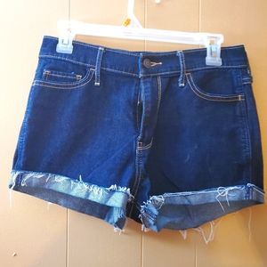 Hollister jean shorts
